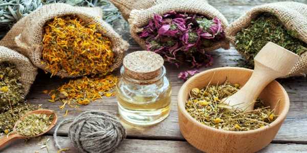 How Plant Medicine Can Support Emotional And Spiritual Healing