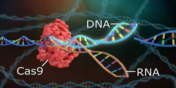 What Is the Science Behind Gene Editing in Medicine