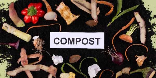 How To Start A Compost Pile At Home